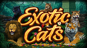 Exotic Cats is a 5-reel video slot with 243 different ways to win.