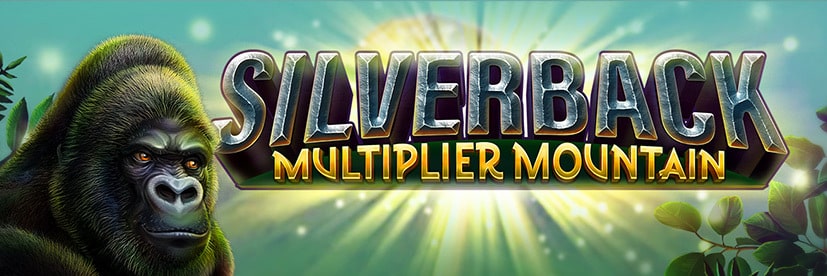 Silverback Multiplier Mountain Africa themed slot