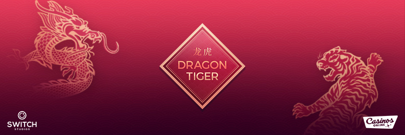 dragon tiger switch studios interview
