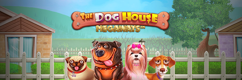Dog House Buy Bonus Pragmatic Play